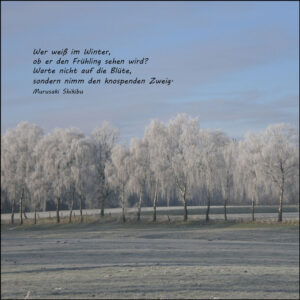 Wer weiß im Winter, ob er den Frühling sehen wird? Warte nicht auf die Blüte, sondern nimm den knospenden Zweig.