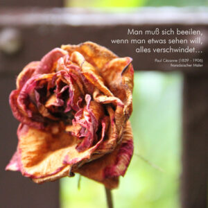 Man muss sich beeilen, wenn man etwas sehen will, alles verschwindet...