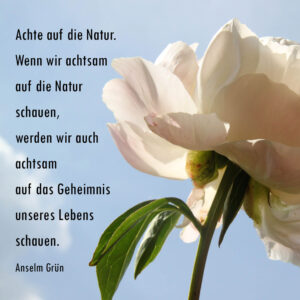 Achte auf die Natur. Wenn wir achtsam auf die Natur schauen, werden wir auch achtsam auf das Geheimnis unseres Lebens schauen.