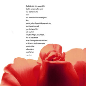 Die Liebe hat sich gewandelt. Sie ist nun unendlich zart und doch so stark.