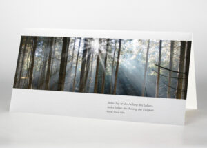 Sonnenstrahlen im Wald - Trauerkarte Motiv F-46