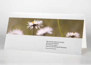 Gänseblümchen - Trauerkarte Motiv B-12