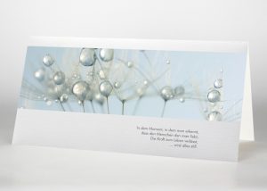 Detailaufnahme mehrere Pusteblumensamen mit Wassertropfen - Trauerkarte Motiv B-18