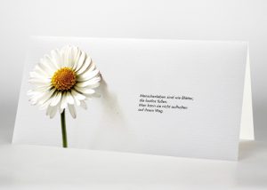 Gänseblümchen - Trauerkarte Motiv B-21
