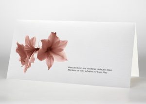 Amaryllis - Trauerkarte Motiv B-24