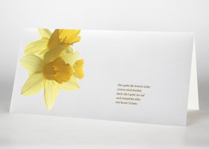Narzisse - Trauerkarte Motiv B-29