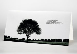 Eine einzelne Buche auf einer Lichtung - Trauerkarte Motiv F-09