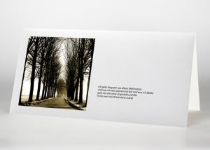 Ein von Bäumen umschlossener sonniger Weg - Trauerkarte Motiv F-12