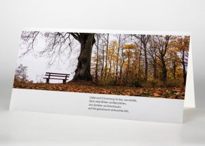 Einsame Bank im Wald - Trauerkarte Motiv F-39